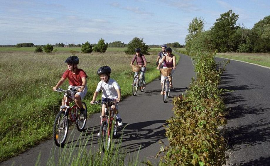 There will be a ride for all ages when the Gran Fondo Social Rides are held in Tweed next month. There will be a ride for all ages when the Gran Fondo Social Rides are held in Tweed next month.